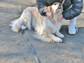 CIMG6913.JPG