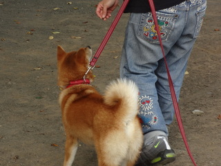 DSC00071.JPG