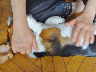 DSC00189.JPG