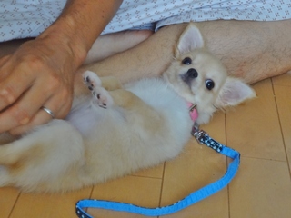 DSC00312.JPG