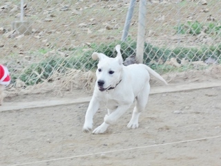 DSC00368.JPG