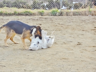 DSC01352.JPG