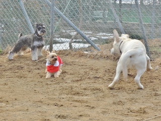 DSC01564.JPG