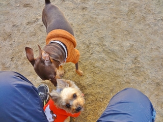 DSC01644.JPG