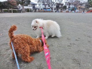 DSC02014.JPG