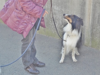 DSC02420.JPG