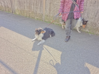 DSC02422.JPG