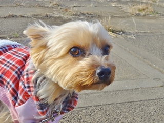 DSC02459.JPG