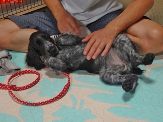 DSC02465.JPG