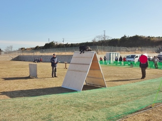 DSC02974-001.JPG