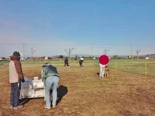 DSC02980-001.JPG