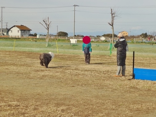 DSC02984-001.JPG