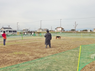 DSC02991-001.JPG