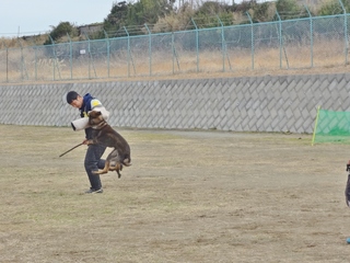 DSC03054-001.JPG