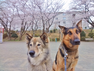 DSC04263.JPG