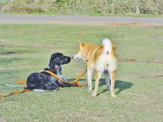 DSC04966.JPG