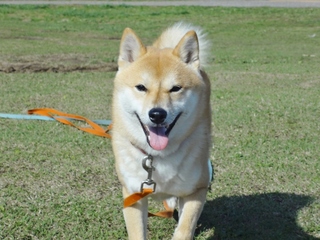 DSC05110.JPG