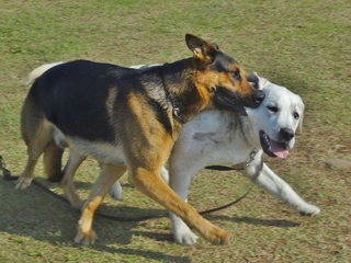 DSC05464.JPG