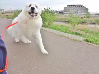 DSC05595.JPG