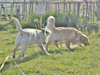 DSC05905.JPG