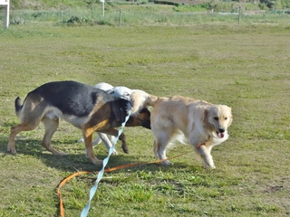 DSC05925.JPG