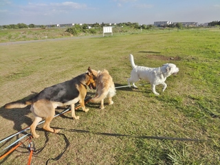 DSC05944.JPG