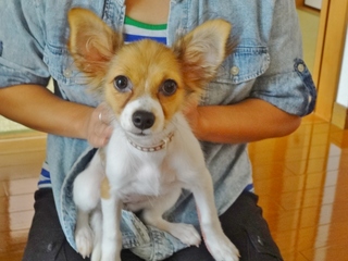 DSC07086.JPG