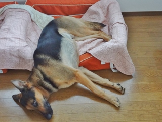 DSC07112.JPG