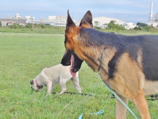 DSC07174.JPG