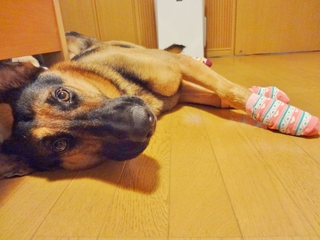 DSC07407.JPG