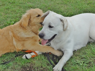 DSC08374.JPG