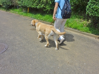 DSC08392.JPG
