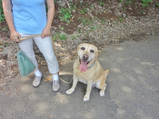 DSC08393.JPG