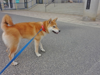 DSC08554.JPG
