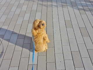 DSC08620.JPG