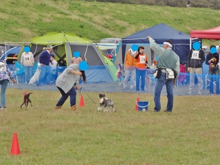 DSC08766.JPG