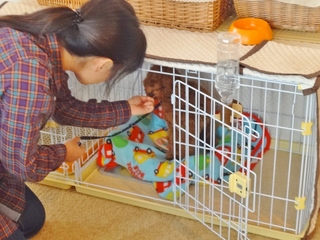 DSC08895.JPG
