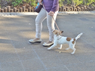DSC09252.JPG