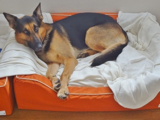 DSC09413.JPG