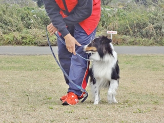 DSC09484.JPG
