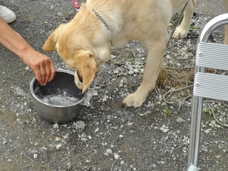 DSC09561.JPG