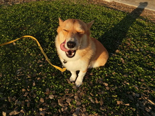 05294D85-4D2F-46EF-A248-909C36B52E1B.jpeg