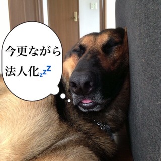 06939DDE-BADD-4B50-9245-75674C3EE5DC.jpeg