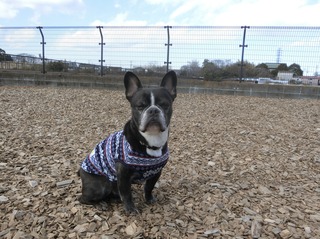06FE0FEB-BB74-4A5C-A371-257D5D1C22D1.jpeg