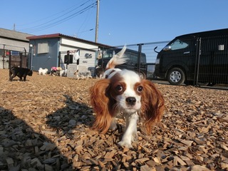 0794BB60-D774-420A-91F6-ED2959A2BC9C.jpeg
