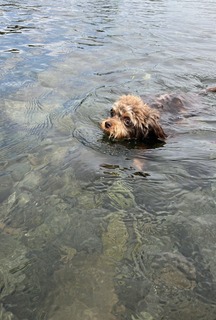 0E086DF4-2622-4A8B-A442-55577401E04B.jpeg