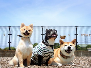 1010005D-9939-4888-84F1-FCC648BCABCC.jpeg
