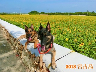103444C4-D08D-46B0-BB0E-444DC3BA03A8.jpeg