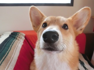 10AB2D15-E095-4EC0-819C-4C07D5BA8E14.jpeg
