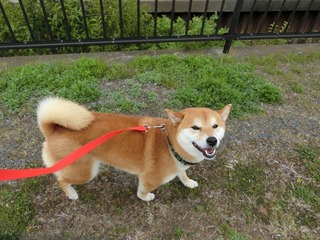 1ABEE06B-8D8D-44E9-9932-55CDBA9F4A3A.jpeg